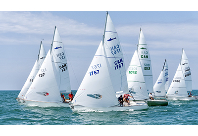 SinC Shark Worlds